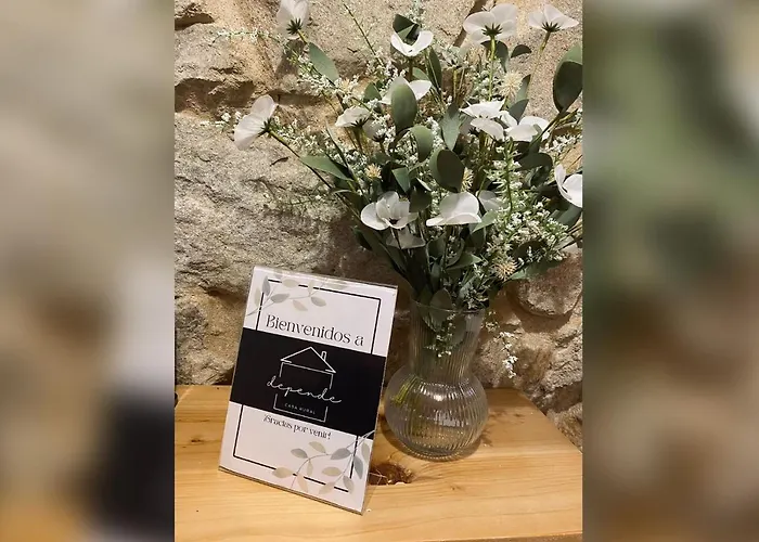 Depende Hébergement de vacances *